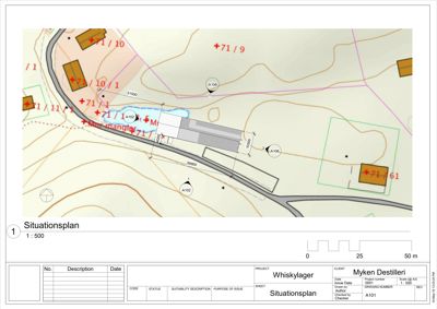 Situasjonsplan som viser bygningenes plassering i forhold til terrenget, veier og nabolag.