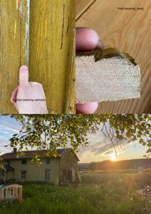 Et collage som viser nærbilder av en profilert trekledd fasade (med tekst 'Profilert kledning nærbilde' og 'Profil kledning, detalj') samt et bredere fotografi av en gul husfasade i et landskap ved solnedgang.