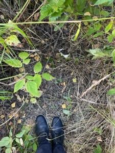 Fotografi av en person som står på grus og gress, sett fra toppen.