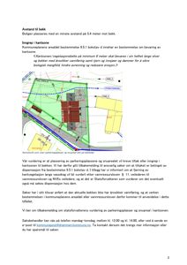 Situasjonsplan som viser parkeringsplasser og snuareal i forhold til bekke og kantsoner.