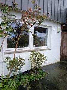 Fotografi av en fasade med et vindu, hvit maling, grå panelvegg og planter i forgrunnen.