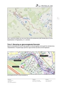 Bildet viser to kartutsnitt fra digitale karttjenester (Scalco Live og InnlandsGIS) som illustrerer eiendommen, en dreneringslinje og et tiltaksområde.