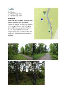 Bildet viser en serie fotografier av en sti i skogen, samt en situasjonsplan for 'Hull 8' på en løype.