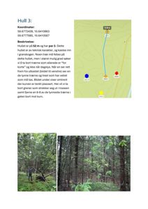 Fotografier av en person som måler et hull i skogen, samt nærbilder av trær.