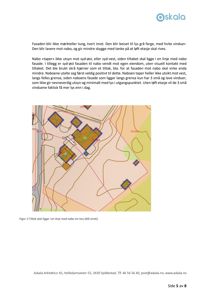 Situasjonsplan som viser bygningenes plassering i forhold til naboer og terrengforhold.