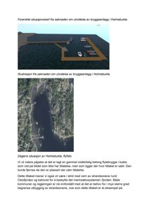 Bildet viser en flyfoto (topografisk bilde) av Holmebukta, som illustrerer dagens situasjon med eksisterende brygger og kystlinje.