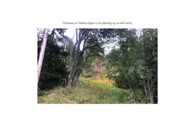 Fotografi av et terreng med skog, der en rød tegnet form markerer en planlagt plassering for en plattning og en info-tavle.
