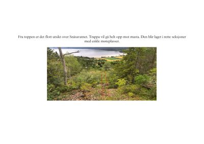 Fotografi av et naturområde med utsikt over Snåsavatnet, inkludert tekstbeskrivelse om trapp og møteplasser.