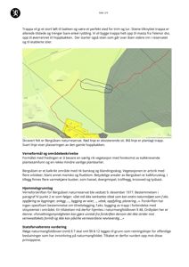 Kart over Bergsåsen naturreservat som viser eksisterende sti (rød linje), planlagt trapp (blå linje) og plassering av gamle hoppbakken (svart linje).