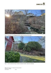 Fotografier av et skråningsområde med eksisterende beplantning og bygninger i bakgrunnen.