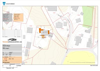 Situasjonsplan som viser tomtens beliggenhet, nabolag, vegforhold og arealopplysninger.