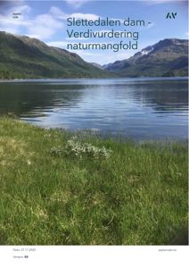 Fotografi av Slettedalen dam med omgivende natur, som er brukt som illustrasjon på forsiden av en rapport om verdivurdering av naturmangfold.