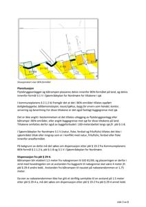 Situasjonskart som viser flytebrygganlegget og båtrampen plassert i forhold til BEN-formålet (grønnfarget område) og naboeiendommen.