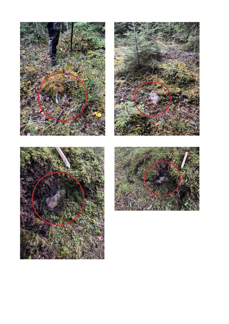 Fotografier av et terrengområde i skog, sannsynligvis fra en byggesak for å dokumentere grunnforhold eller funn (f.eks. steiner eller rester) på tomten.