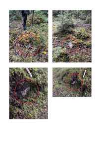 Fotografier av et terrengområde i skog, sannsynligvis fra en byggesak for å dokumentere grunnforhold eller funn (f.eks. steiner eller rester) på tomten.