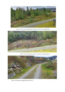 Fotografier av tomt 9 og omgivelsene, inkludert berg, steinmur og fjell.