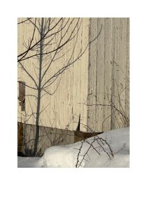 Fotografi av en hvit, utvasket trevegg med snø på bakken og skygger fra grener.