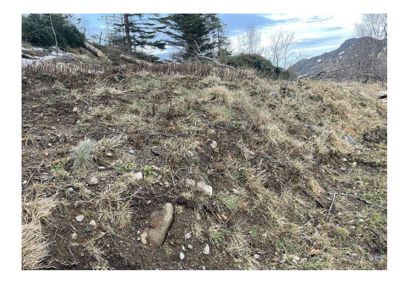 Fotografi av et terreng med grus, stein og gress, med skog og fjell i bakgrunnen.