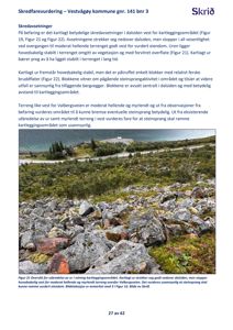 Fotografi av et skredutsatt område i Vestvågøy kommune, inkludert stein, vegetasjon og en vei i bakgrunnen.