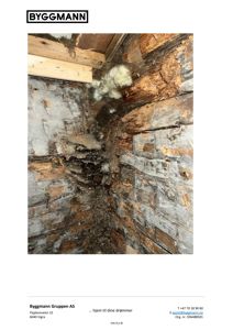 Fotografi av en skadet hjørne i en bygning, sannsynligvis i en takkonstruksjon eller loft, som viser råte i tømmer og skader på isolasjonen.