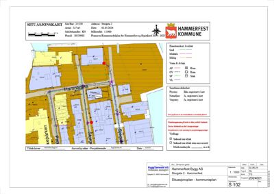 Situasjonskart som viser tomtens plassering i forhold til nabolaget, gater og arealbruk.