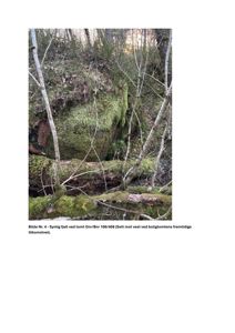 Fotografi av en fjellside med mose og trær ved tomt Gnr/Bnr 106/408.