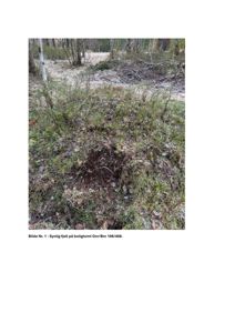 Fotografi av synlig fjell på en boligtomt (Gnr/Bnr 106/408).