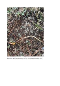 Fotografi som viser synlig fjell i bakken på en boligtomt.