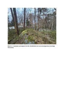 Fotografi av et synlig fjell ved en boligtomt, med beskrivende tekst under bildet.