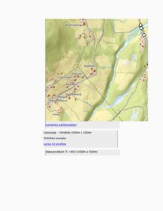 Et ortofoto (flyfoto) over et område med topografiske linjer, veier og bygninger. Bildet viser et kartutsnitt med stednavn som Brattholohagen og Holbyvegen.