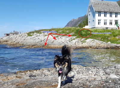 Fotografi av en hvit bygning ved kysten med en hund i forgrunnen og håndtegnede merknader.