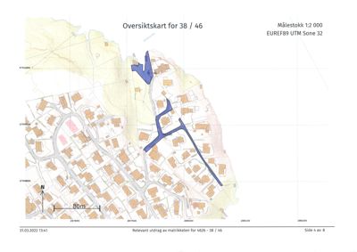 Oversiktskart (situasjonsplan) for eiendom 38/46 med bygningsplassering, vegnett og koordinater.