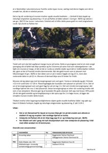 Luftfoto av en tomt med mange murer og vegetasjon, inkludert et hus i bakgrunnen.