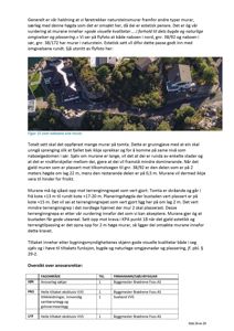 Et fotografi (flyfoto) som viser naboeiendommer og deres murar i naturstein, inkludert en oversikt over tomten og terrenget.