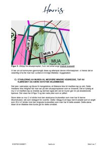Et utklipp fra en situasjonsplan som viser tomtedeling, murer og arealbruk (inkludert et tinglyst bruksrett).