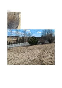 Fotografier av et tomt eller planlagt byggeområde, inkludert en nærbilde av jordprofil og et bredere utsyn over tomten med hekk og nabolag.