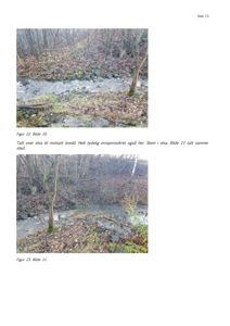 Fotografier av et naturområde med en elv, trær og steiner, som illustrerer erosjonssikring langs elvebredden.