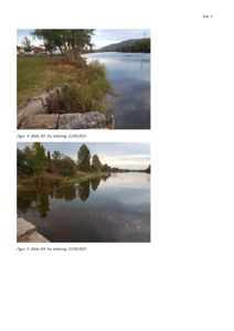 Fotografier av en elv eller vannvei med tilhørende vegetasjon og en steinmur, tatt under en befaring.