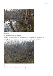 Fotografier av et naturområde med elv og skog, inkludert beskrivende tekst.