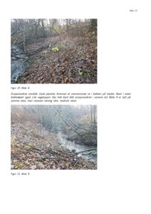 Fotografier av et naturområde med erosjonssikring langs en bekkeløp.