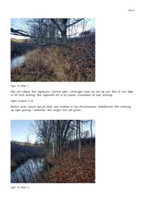 Fotografier av et naturscenario, sannsynligvis en bekkeutløp eller elvebunn, med beskrivende tekst.