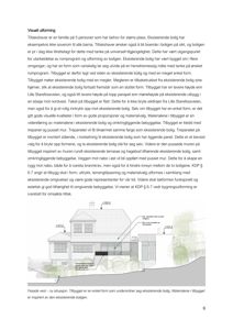 Fasadetegning (opprikk) som viser bygningens utseende fra vest, inkludert høyder og materialvalg.