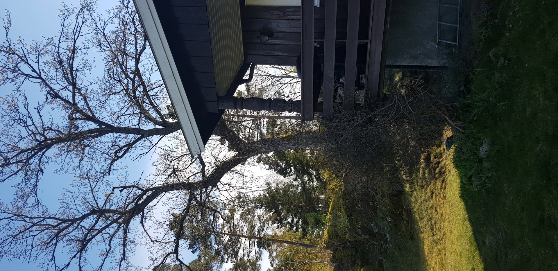 Fotografi av en bygning sett fra siden, med en stor tre i forgrunnen.