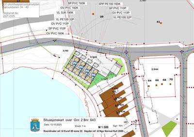 Situasjonskart som viser tomtens beliggenhet, nabotomter, infrastruktur og byggefelt.