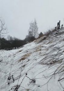 Fotografi av et snødekt terreng med skog og en del av en bygning i bakgrunnen.