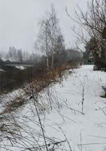 Fotografi av et snødekt utendørsområde med trær og en vei i bakgrunnen.