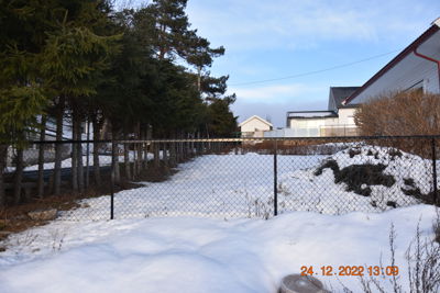 Fotografi av en snødekt tomt med hekk, trær og nabohus i bakgrunnen.