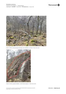 Dokumentet viser to fotografier (Foto 5 og Foto 6) av en skrent med steinsprang og avløste blokker, som er del av en skredfarevurdering.