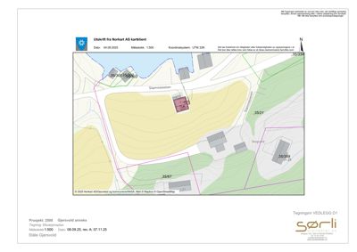 Situasjonsplan som viser tomtens beliggenhet, nabotomter (35/67, 35/21, 35/39), veier (Stamnesveien, Skogveien) og topografi.