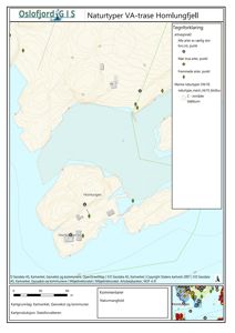 Et kart over et område ved Homlungfjell som viser topografi, vannmasser og plassering av bygninger i forhold til en VA-trase.